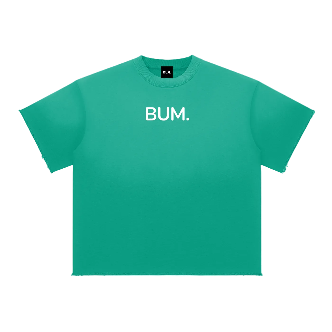 Sun Fade BUM T Shirt